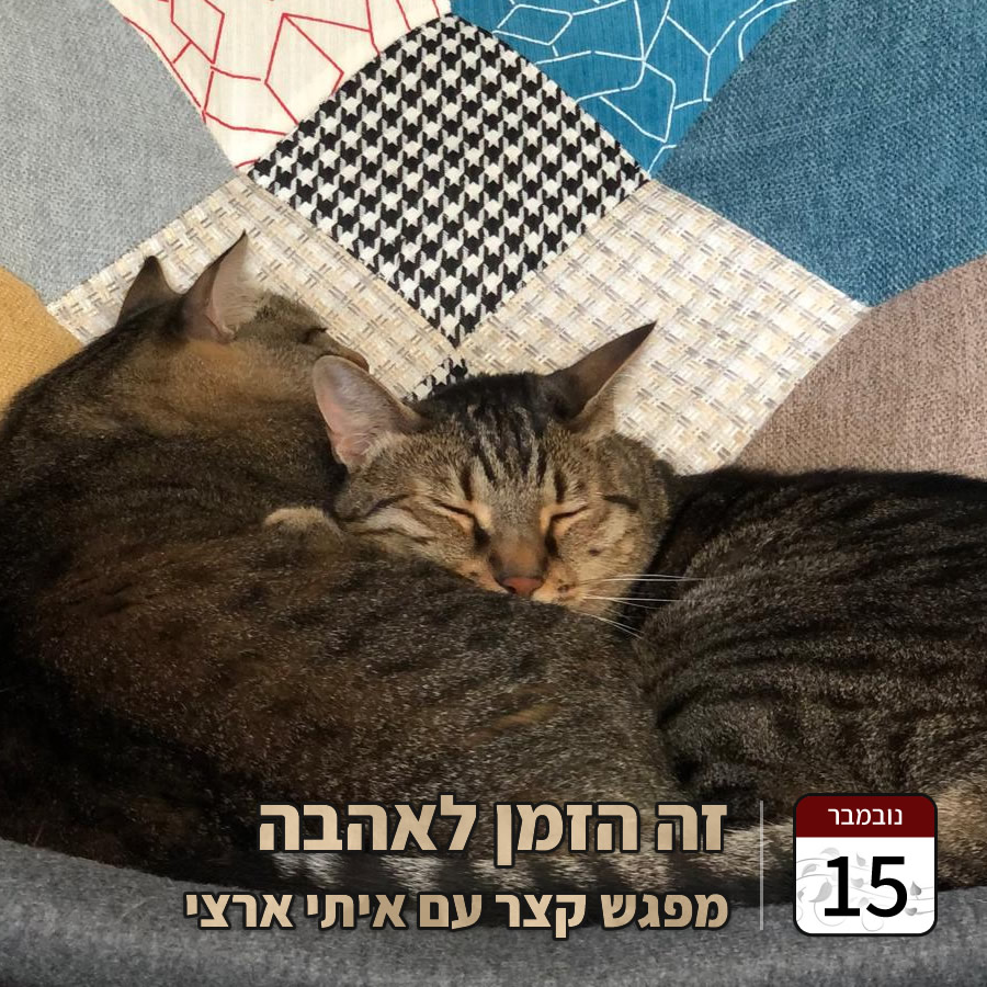 זה הזמן לאהבה איתי ארצי